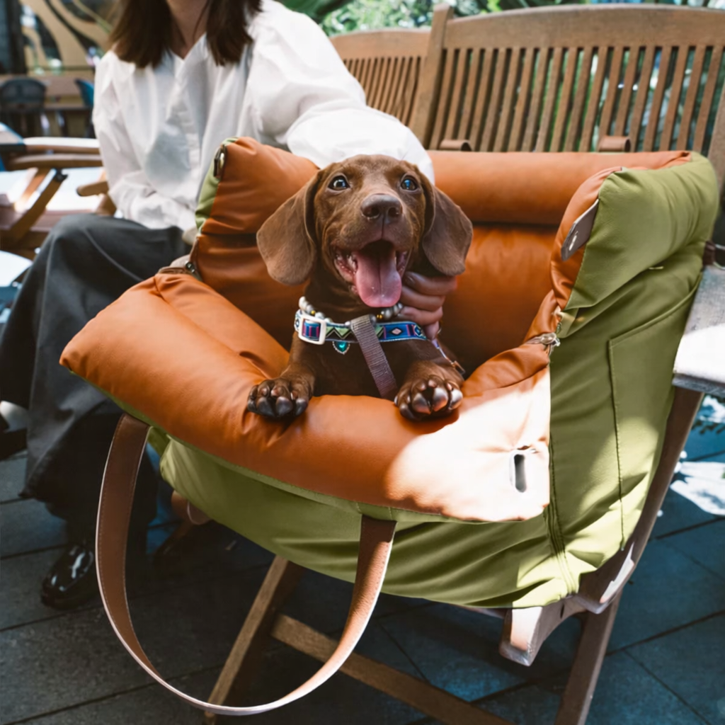 Pet Booster Seat