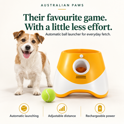 Pawzy Fetch Automatic Ball Toy