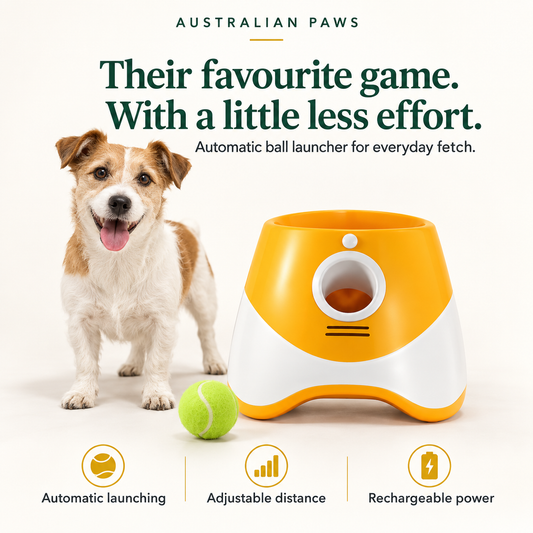 Pawzy Fetch Automatic Ball Toy
