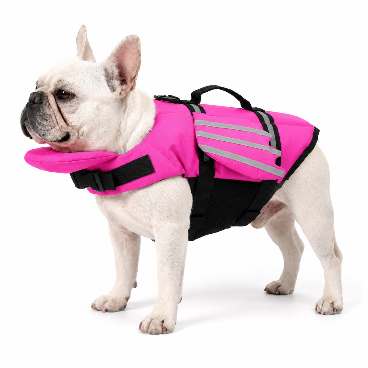 AquaGuard™ Head-Up Dog Life Vest