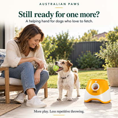Pawzy Fetch Automatic Ball Toy