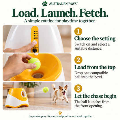 Pawzy Fetch Automatic Ball Toy