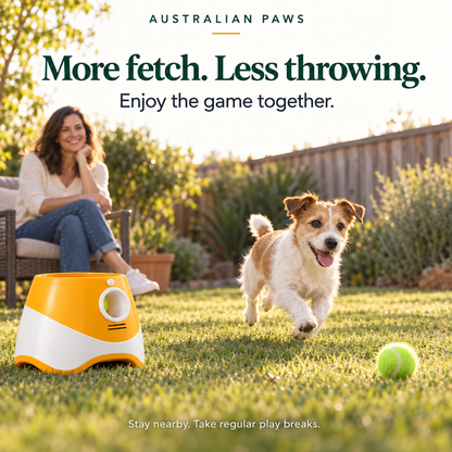 Pawzy Fetch Automatic Ball Toy