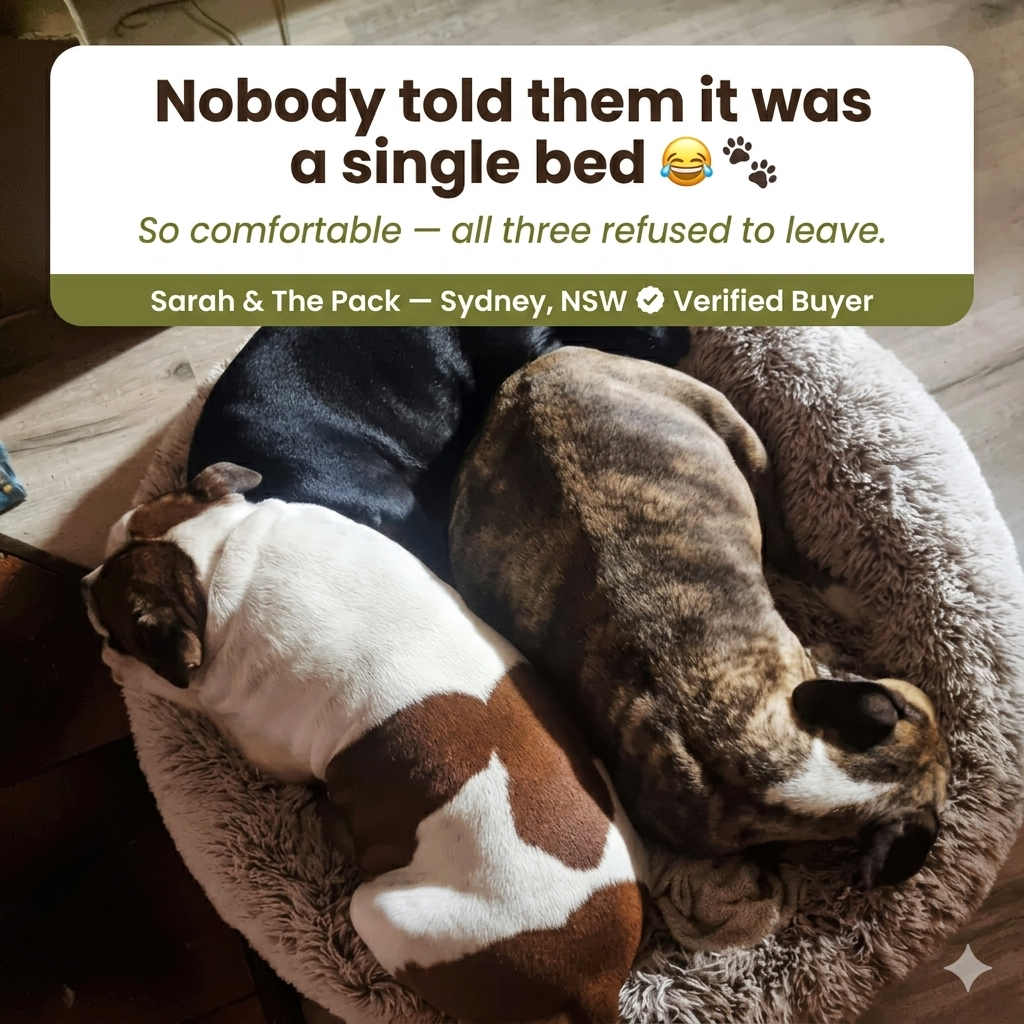 Australian Paws DeepRest Dog Bed