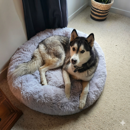 Australian Paws DeepRest Dog Bed