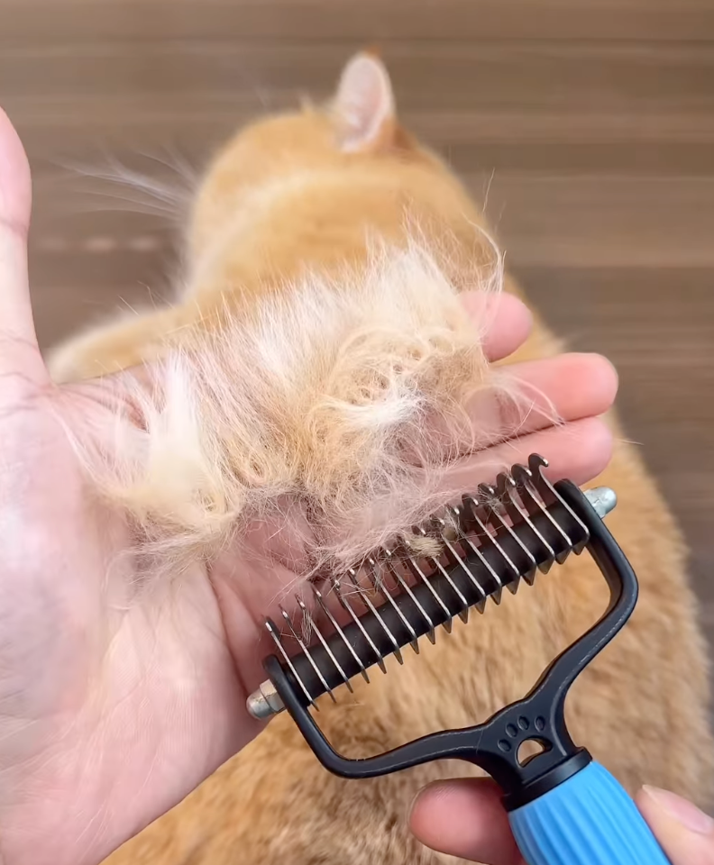 Pet grooming product