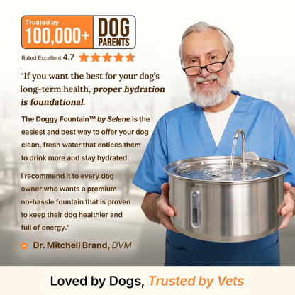 Australian AquaPaw Silent Dog Fountain