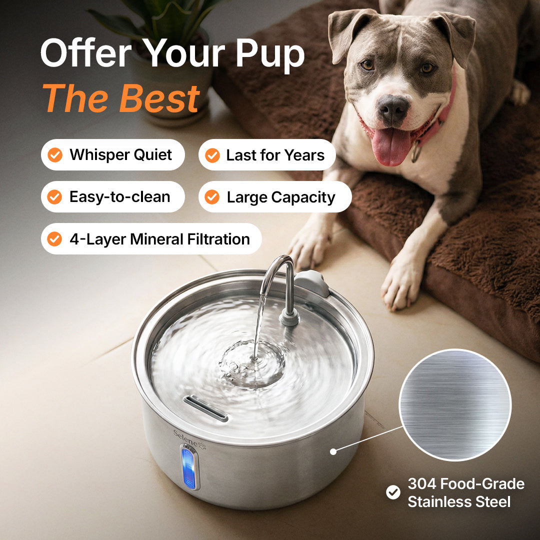 Australian AquaPaw Silent Dog Fountain