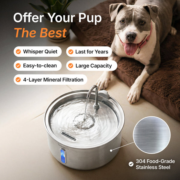 Australian AquaPaw Silent Dog Fountain