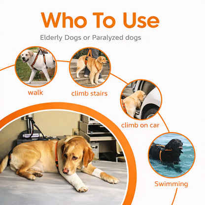 PawLift Dual Support Harness